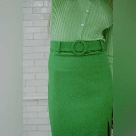 NWT ZARA BELTED PENCIL SKIRT SIZE XS - Picture 3 of 10